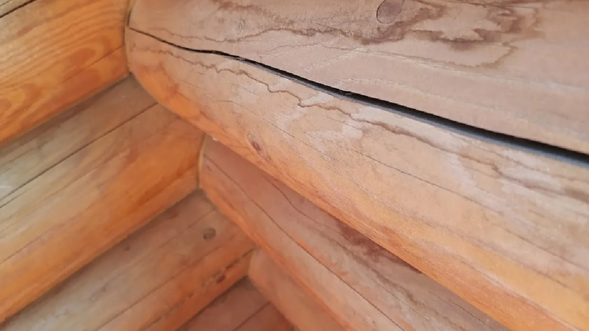 бревенчатая стена