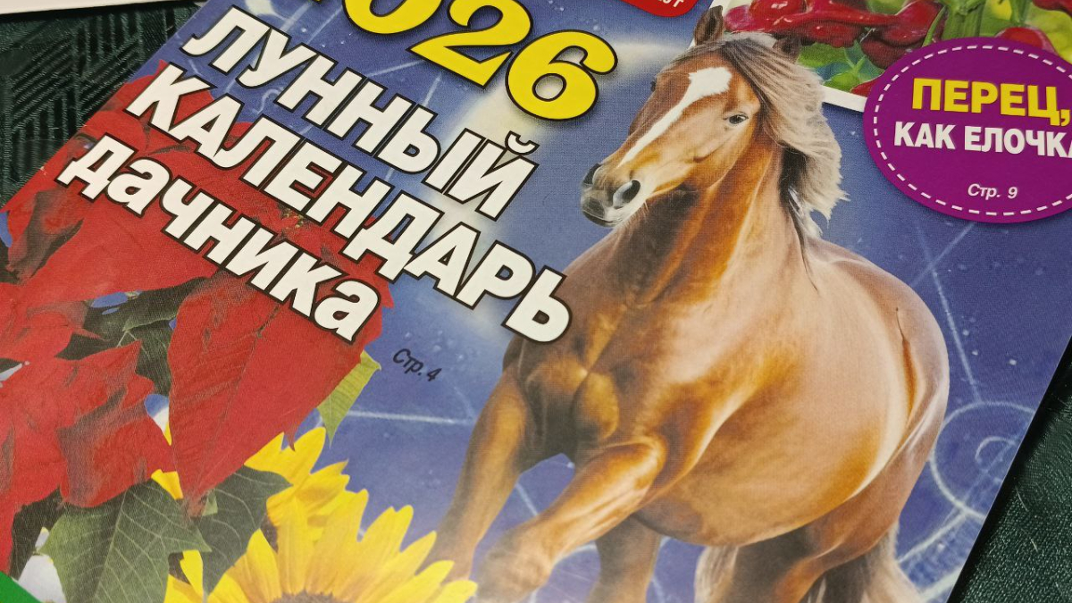 Журнал для дачников