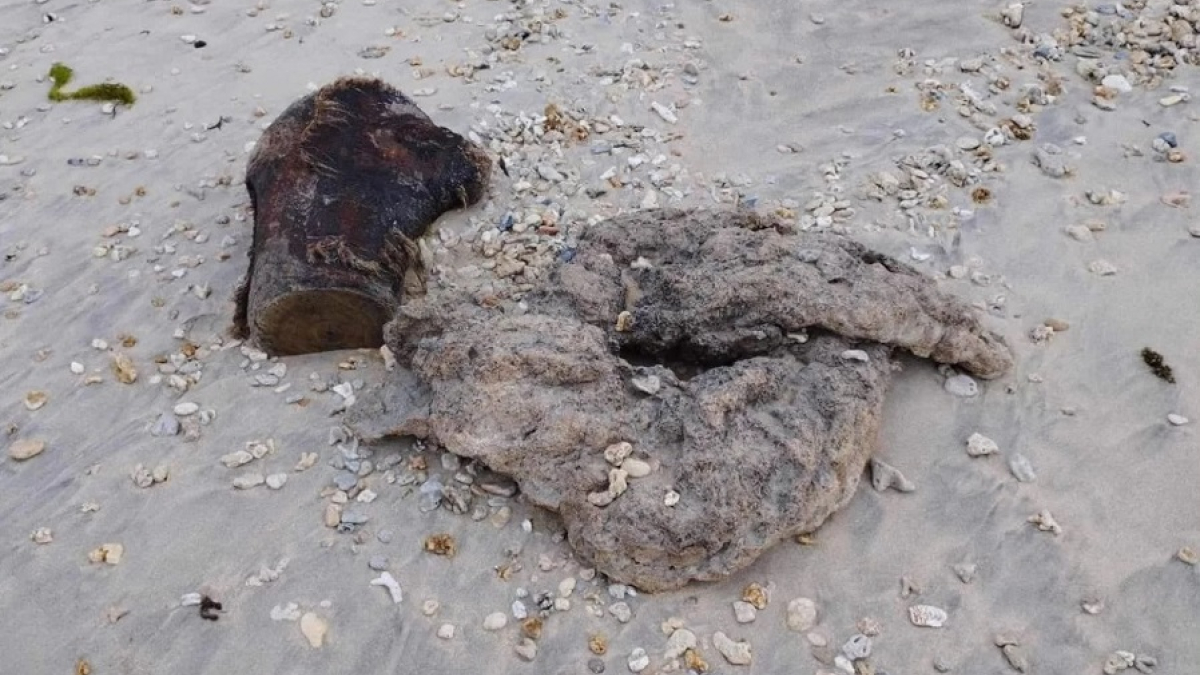 амбра из кишечника кашалота