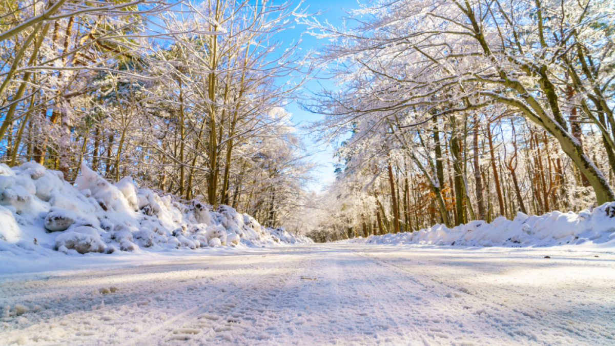 Автомобиль солнце дорога пдд