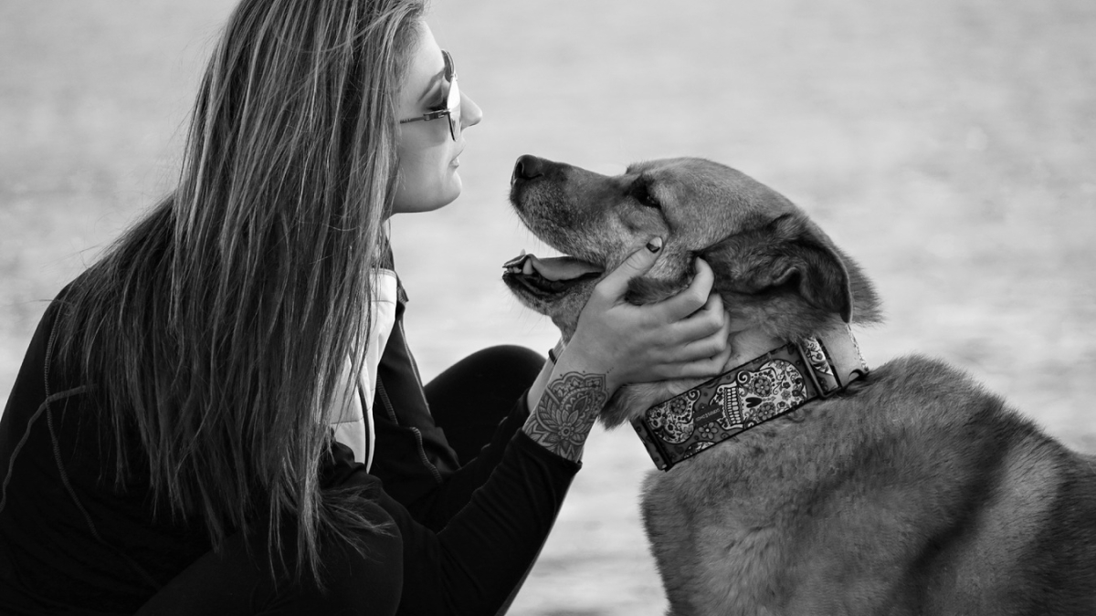 Девушка гладит собаку