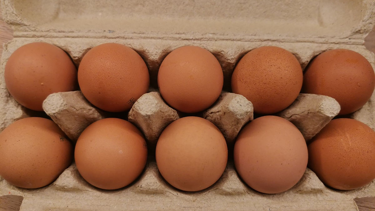 куриные яйца в лотке