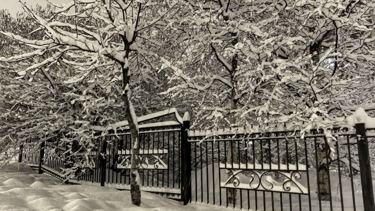 Зимняя улица