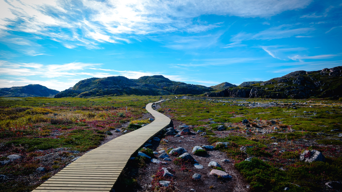 Мурманск экология природа