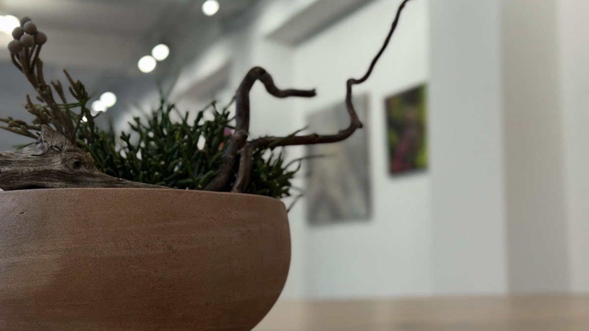 библиотека культура экскурсия