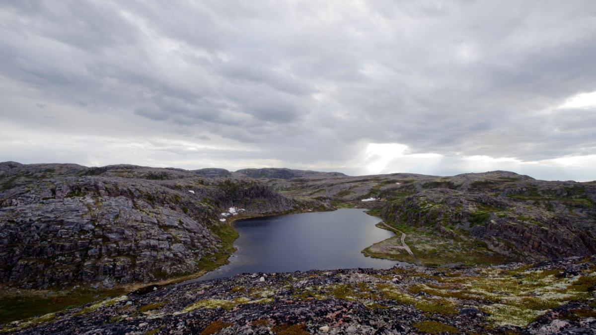 Арктика море политика природа