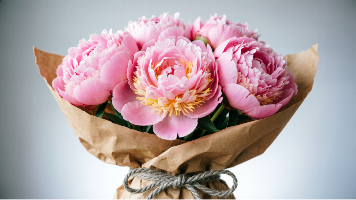 букет пионов