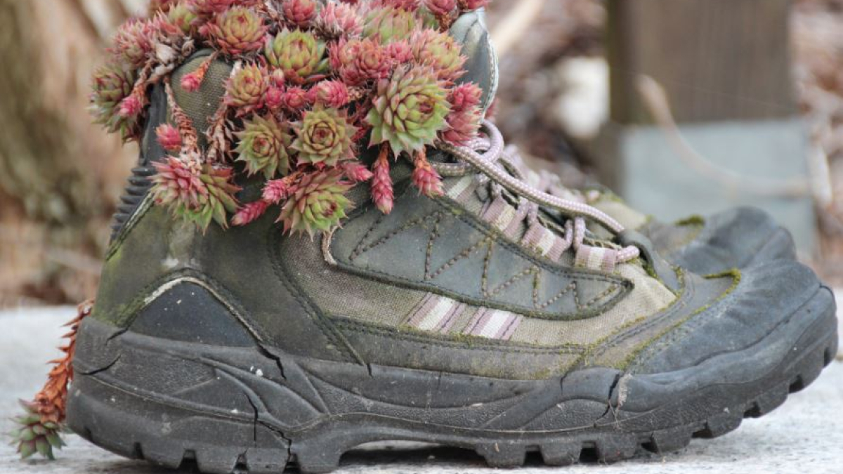 ботинок природа экология мурманск