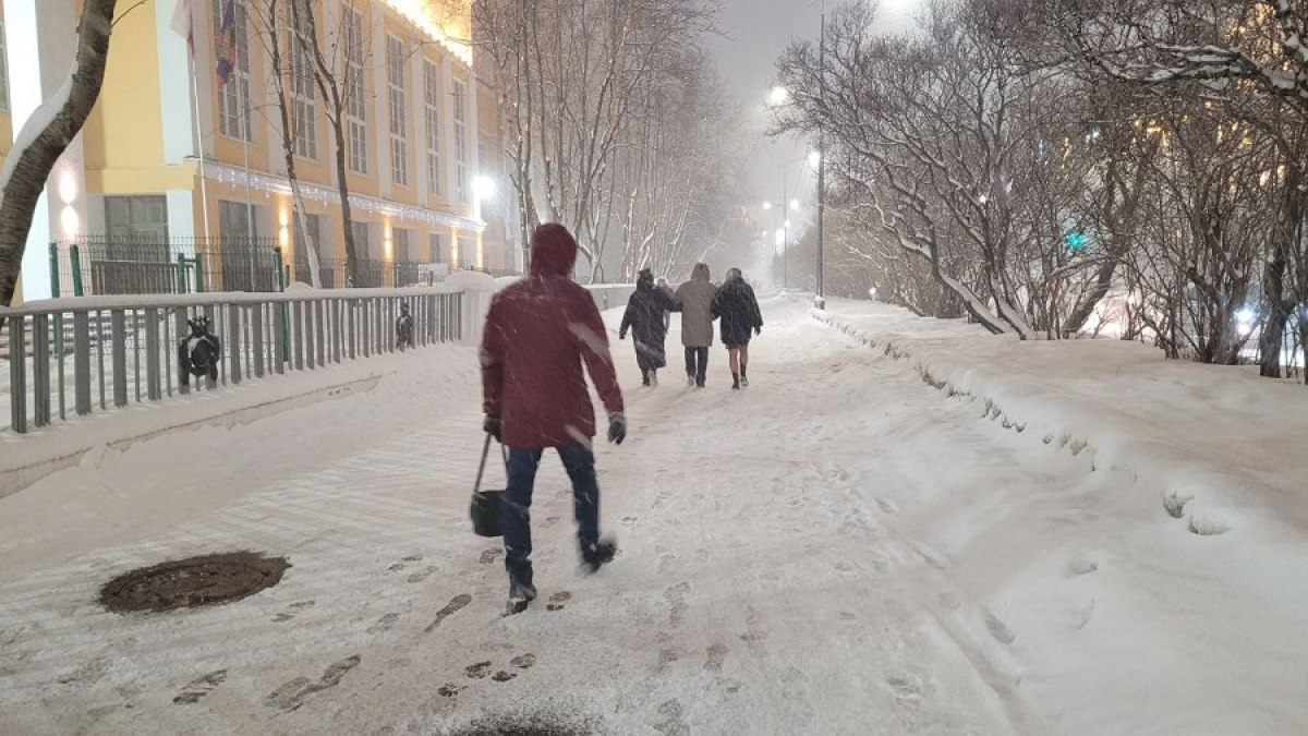 люди идут по улице зимой