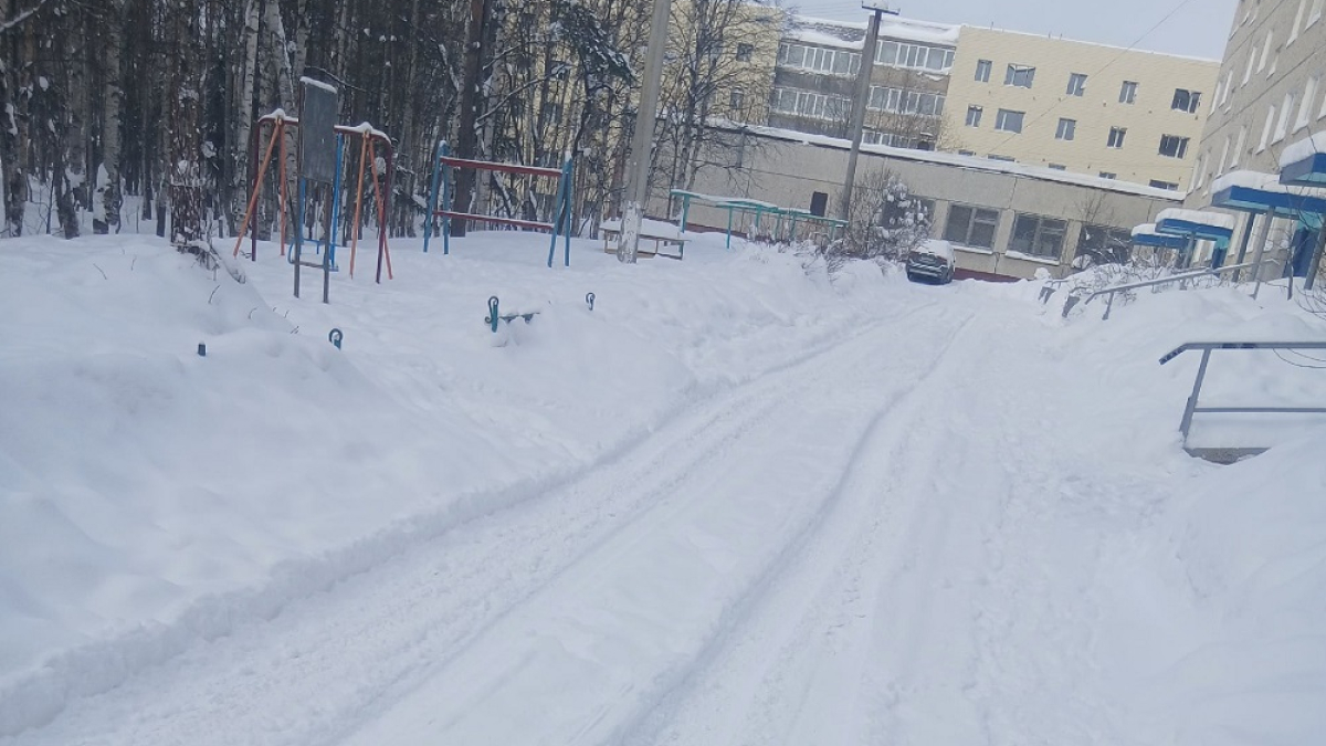 засыпанный снегом двор