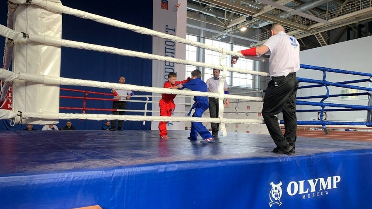 спортсмены выступают на ринге