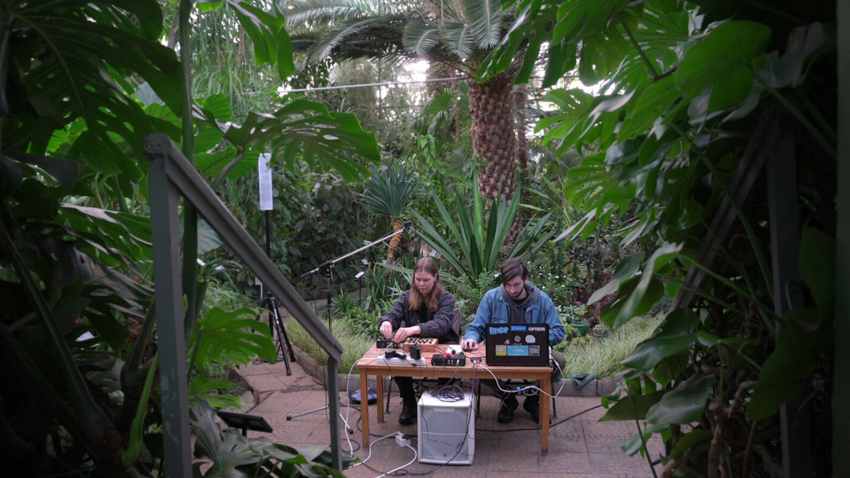 мурманск растения искусство художник