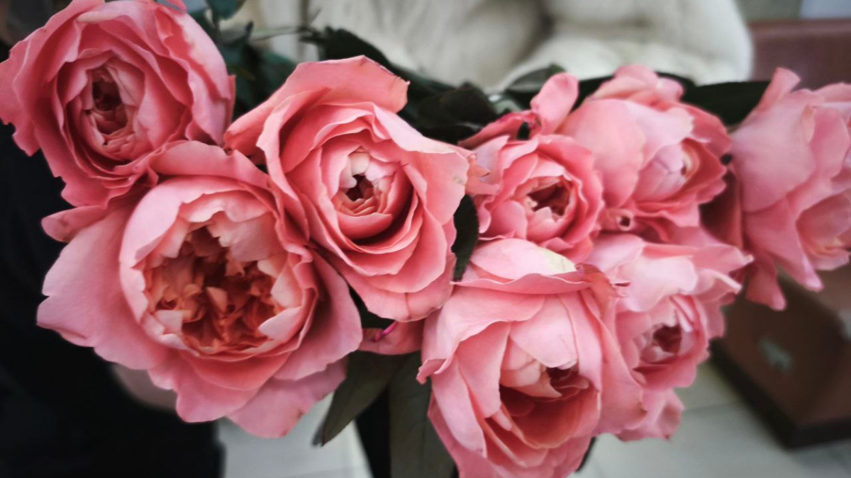 Букет роз-пионов