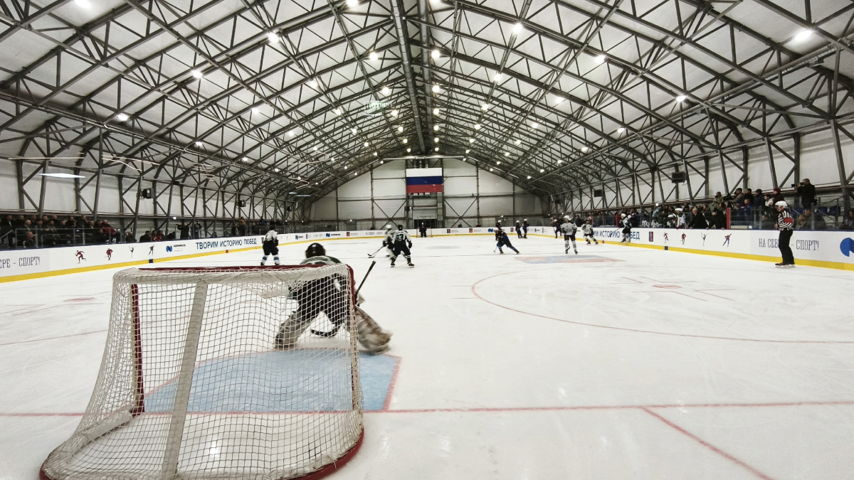 Хоккейные ворота