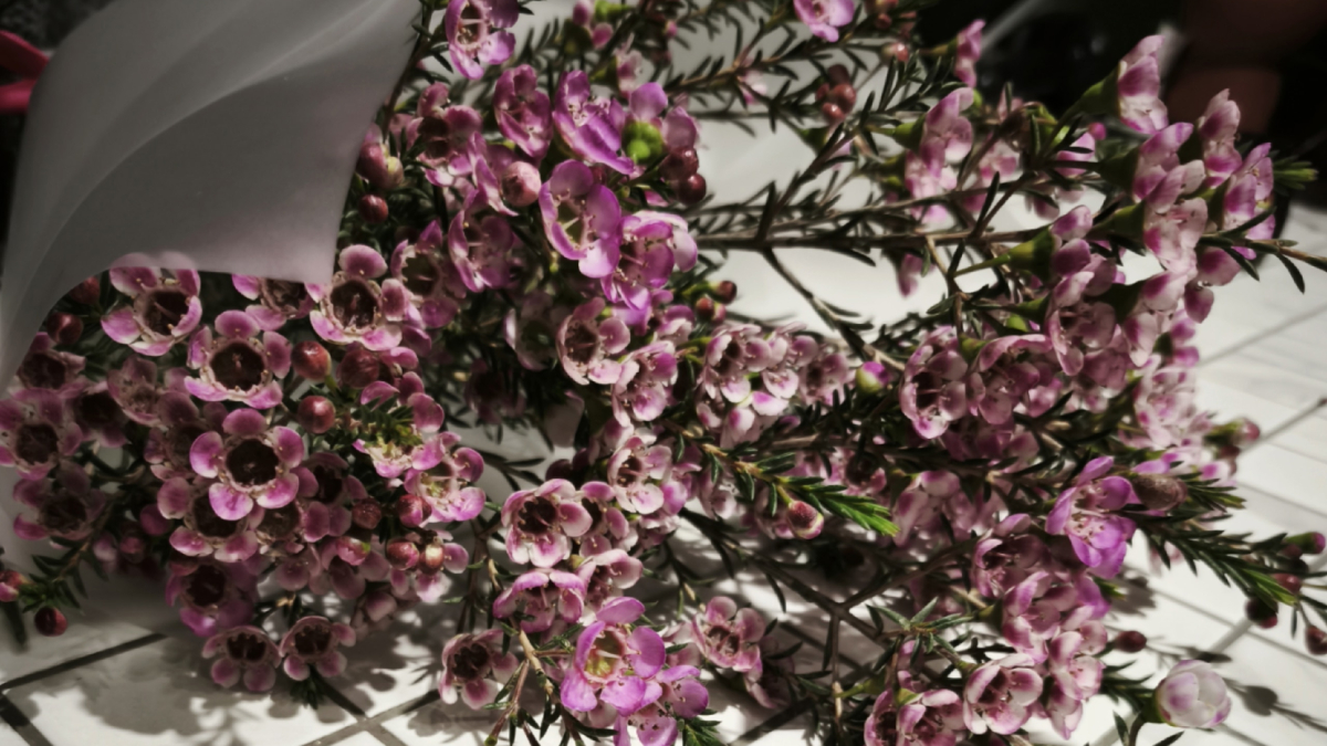 Букет цветов