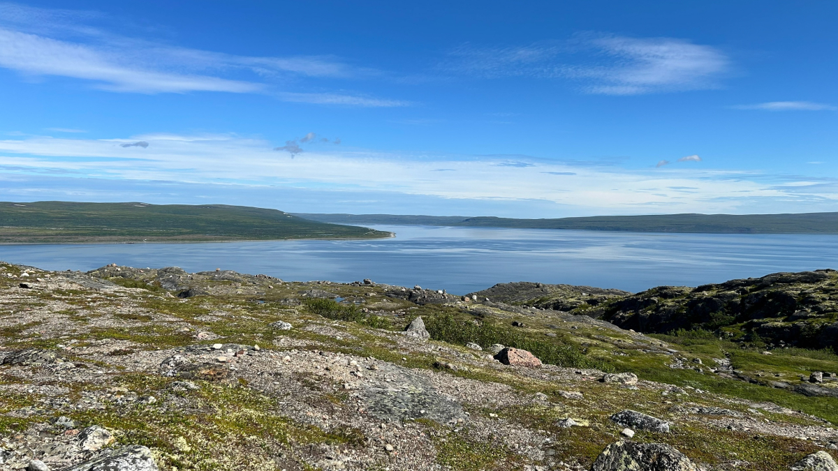 Арктика экология климат