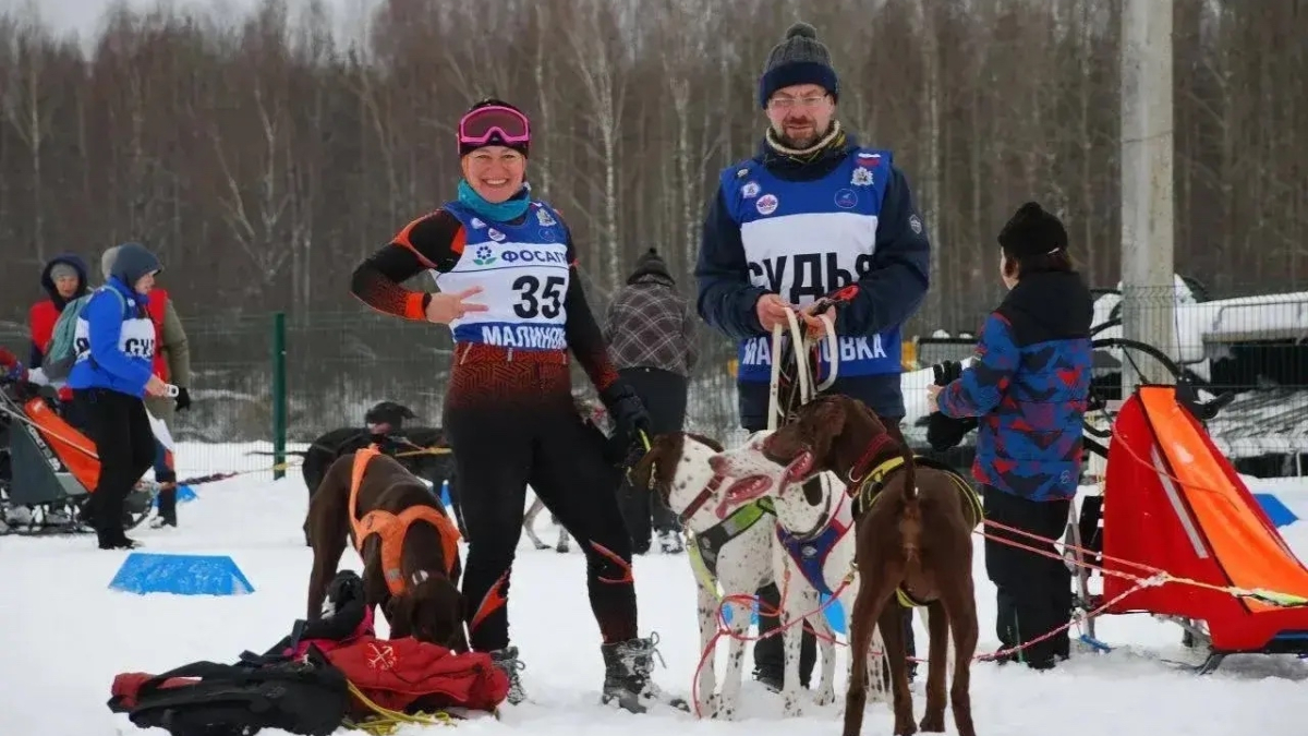 Мурманск, спорт, собаки