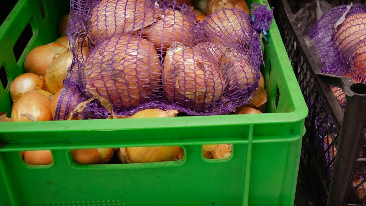 репчатый лук в сетке