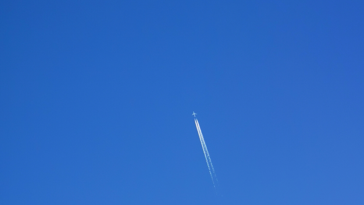 самолет политика арктика