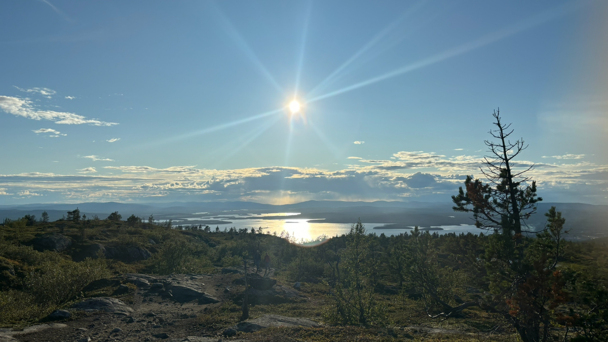 мурманск арктика экология