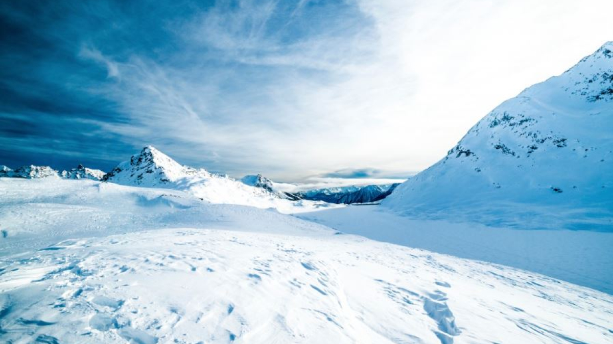 арктика климат экология