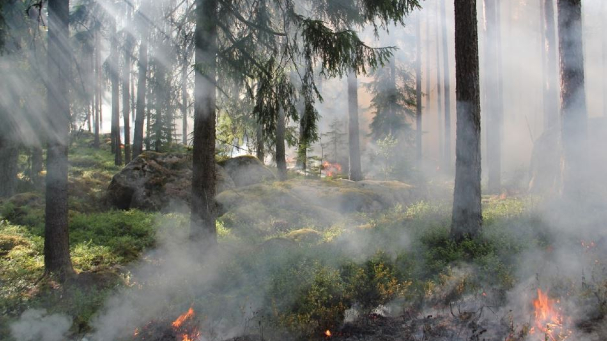Мурманск огонь вода климат