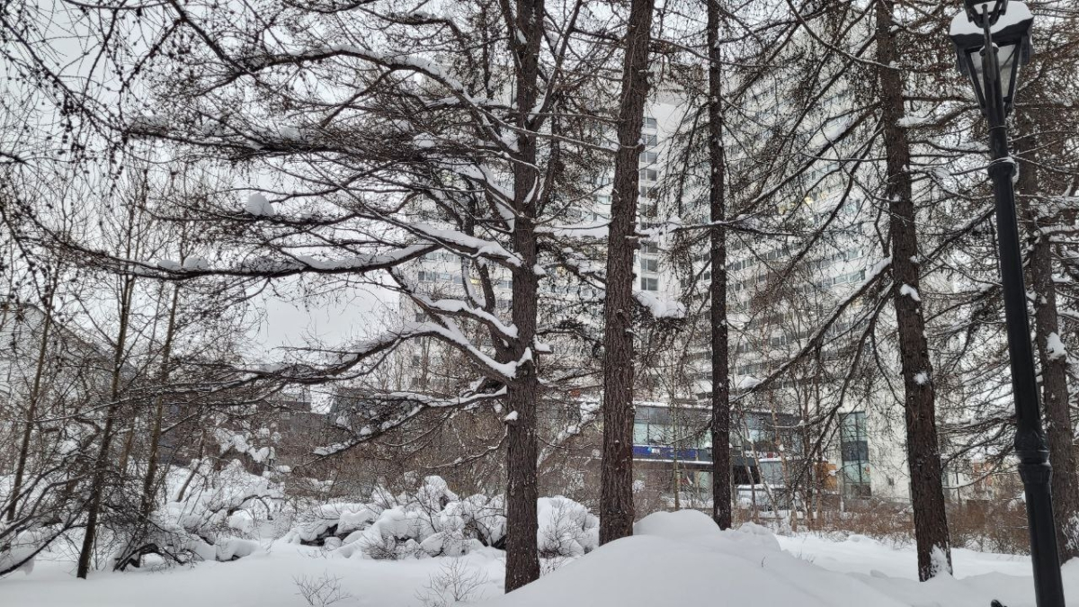 Зимний Мурманск