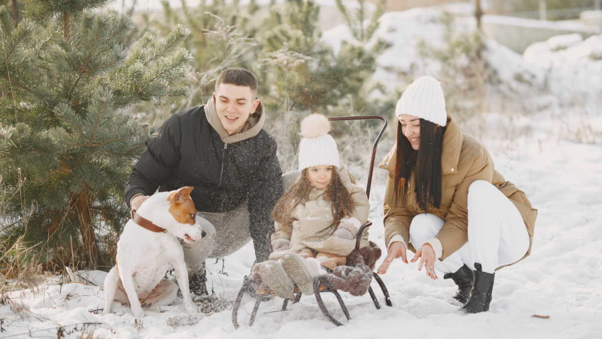 семья играет в снегу