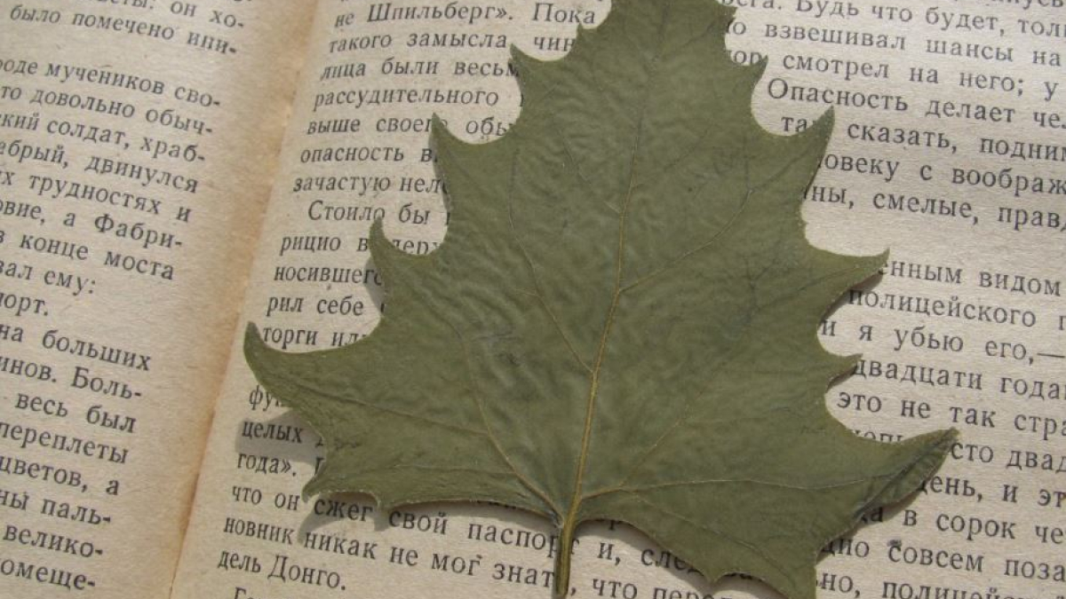 Арктика гербарий наука ПАБСИ