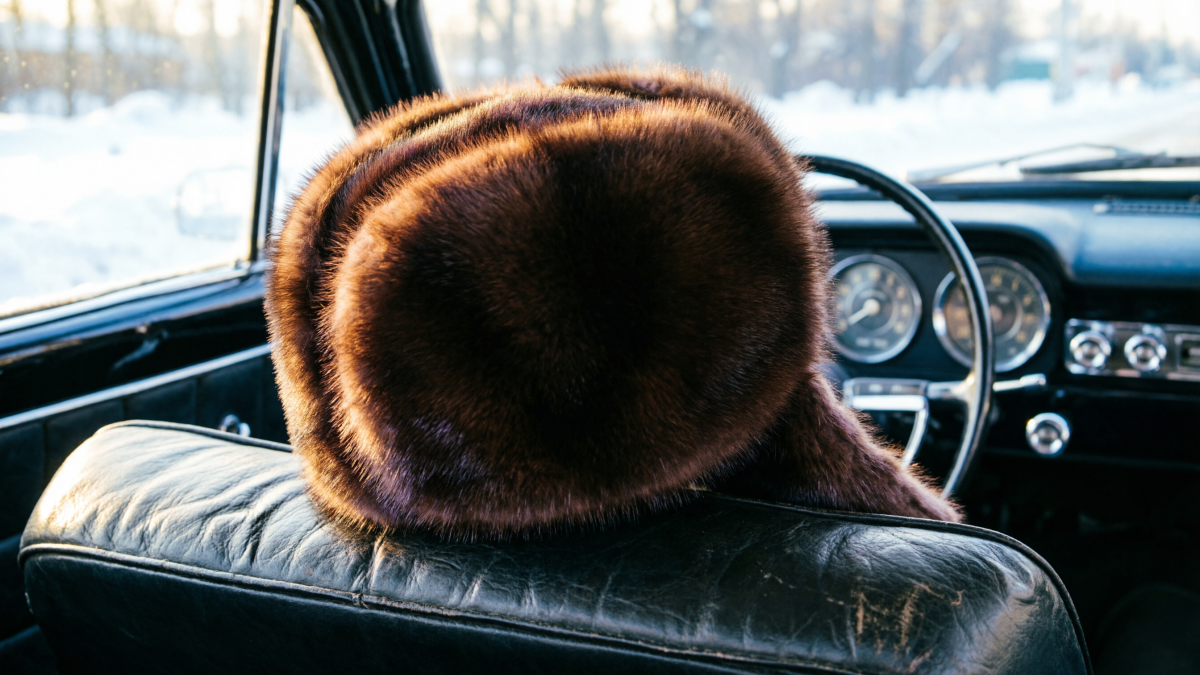 Пыжиковая шапка в салоне автомобиля &laquo;Волга&raquo;