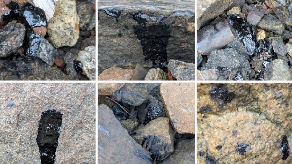 мурманск росляково экология