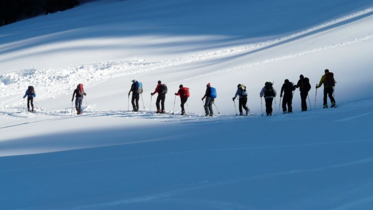 арктика туризм мурманск
