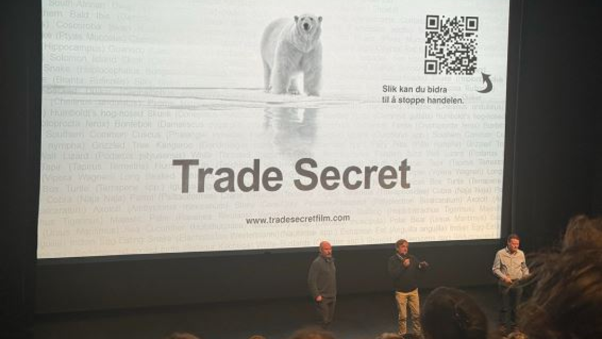 арктика шпицберген природа