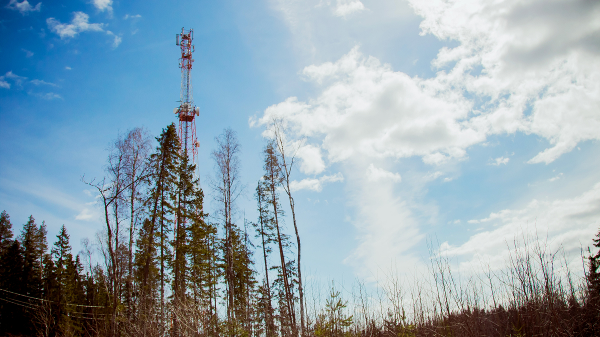 Башня связи в лесной местности