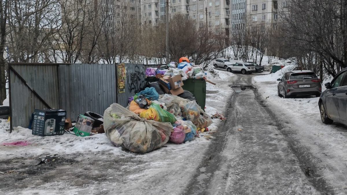 мусорные контейнеры переполненные