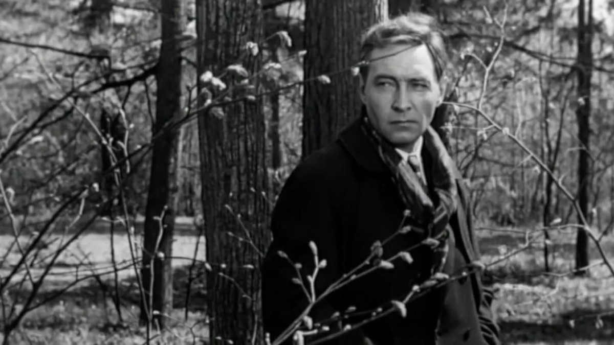 Кадр из&nbsp;сериала &laquo;17 мгновений весны&raquo;