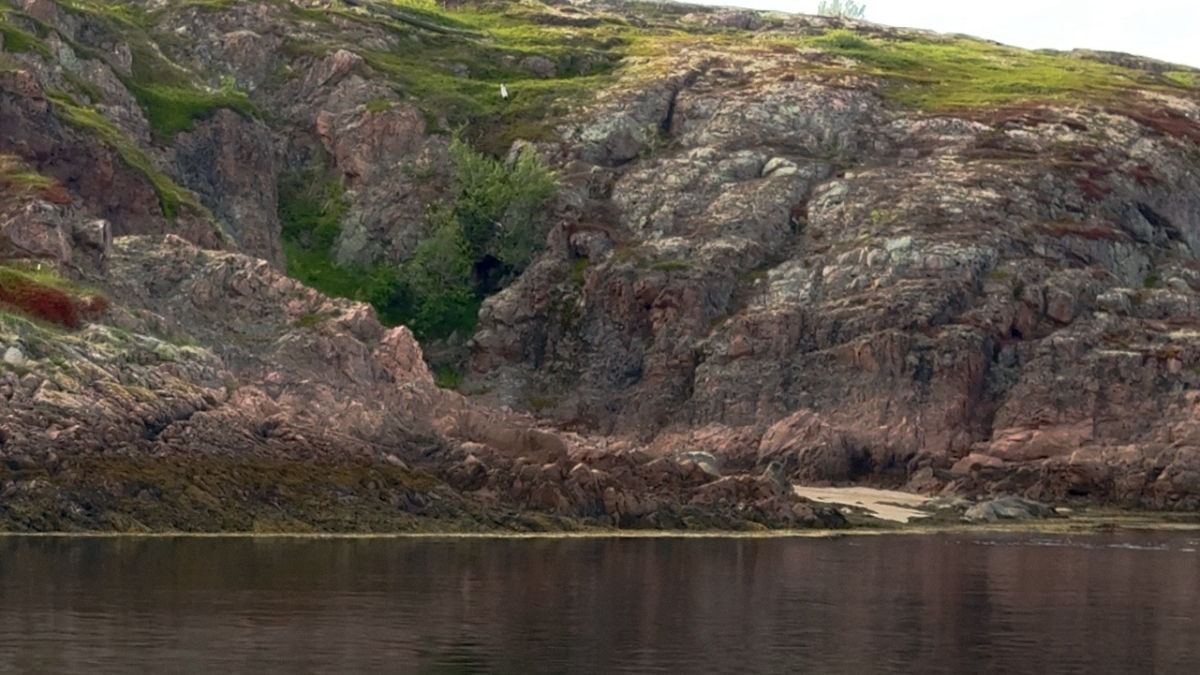 Арктика Териберка киты заповедник природа