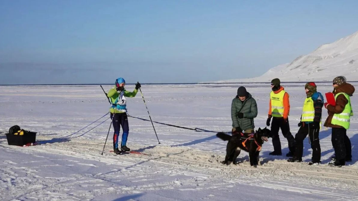 Арктика шпицберген собаки спорт каюры