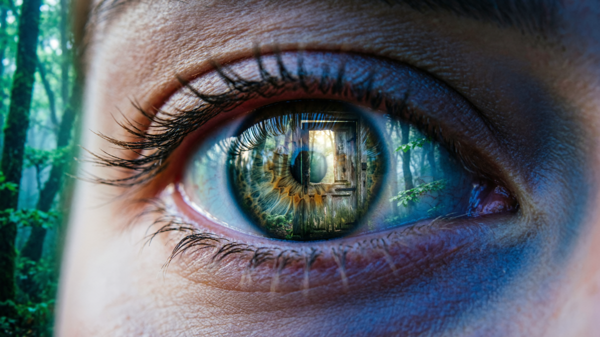 Человеческий глаз и лес