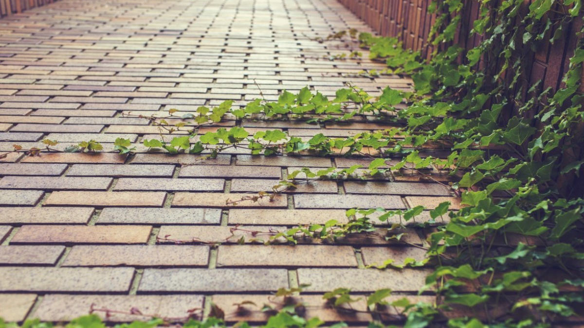 Мощение брусчаткой