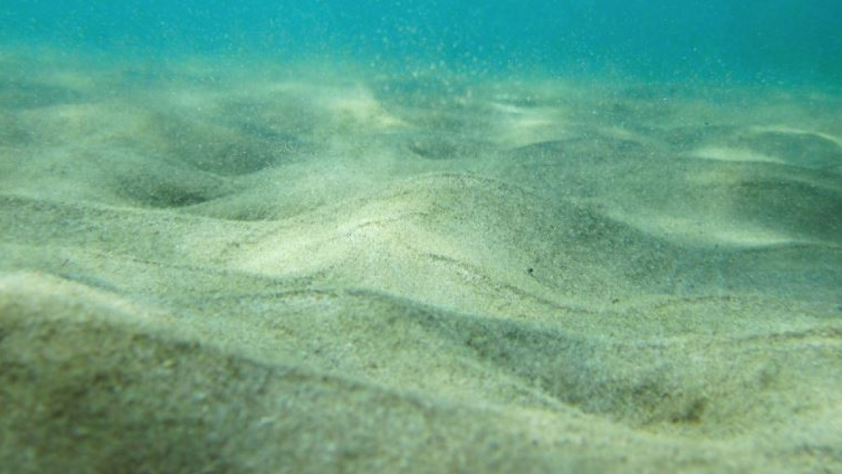 арктика баренцево ледовитый