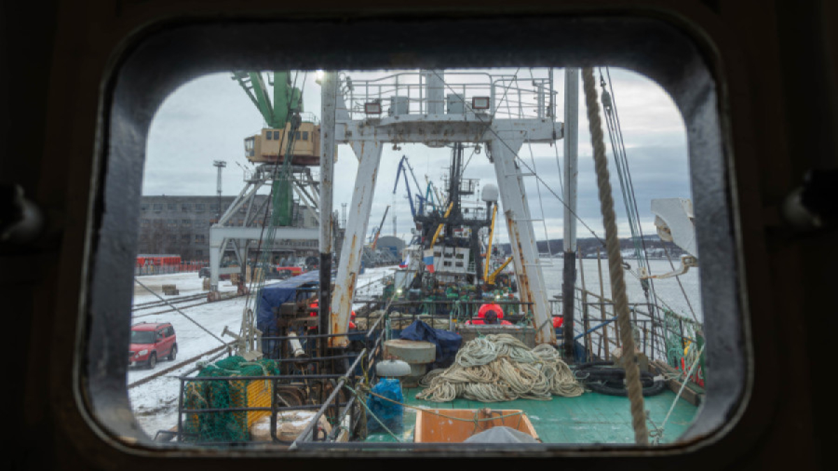 Похожая картина наблюдается в Усть-Луге