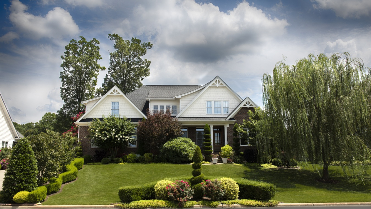 Коттедж и участок