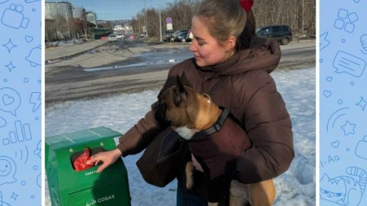 Мурманск арктика собака чистота экология