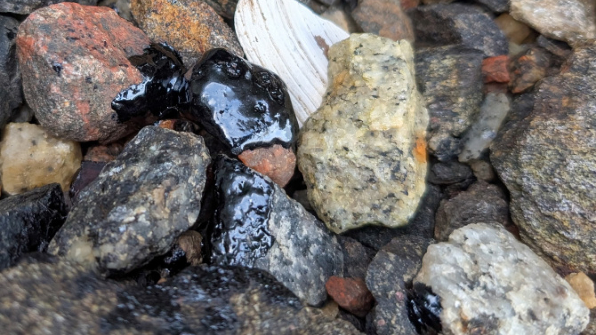 мурманск природа экология Чайко