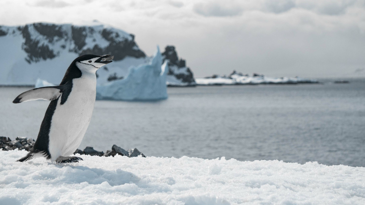 природа холод