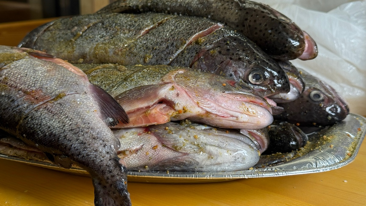 свежая рыба в тарелке