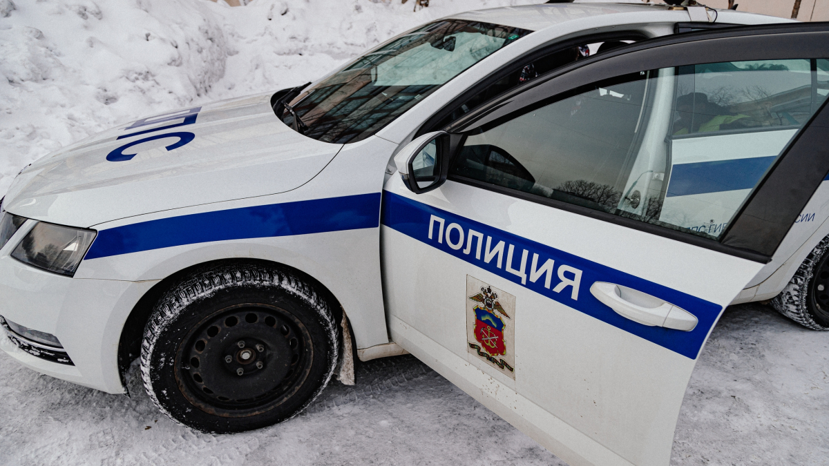 полицейская машина