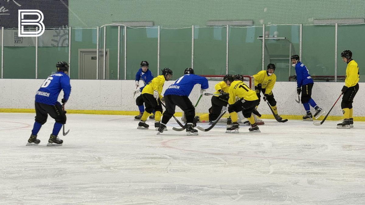 Хоккеисты на льду