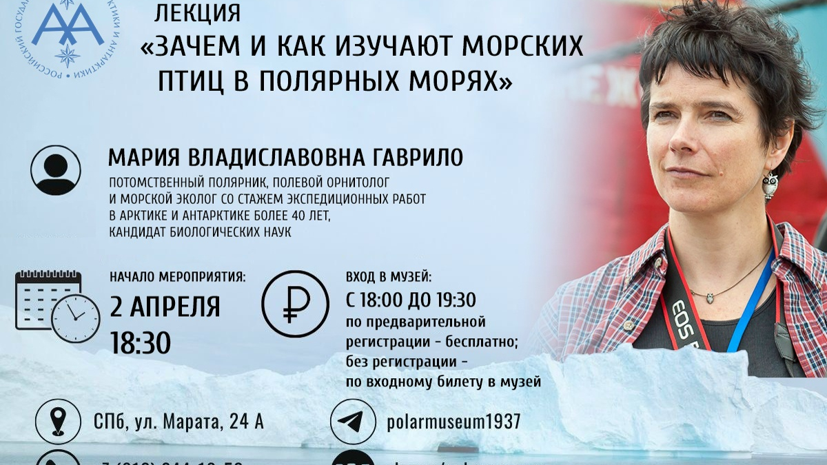 арктика лекция птицы орнитологи наука